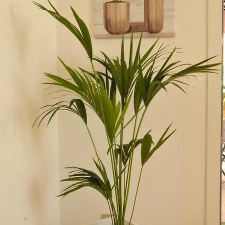 Giardino In Citta; Centralissimo