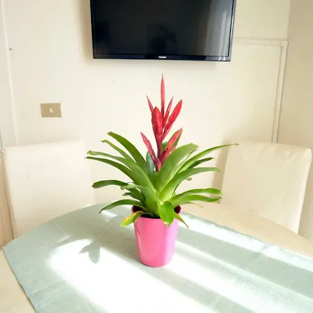 Apartamento Giardino In Citta; Centralissimo *